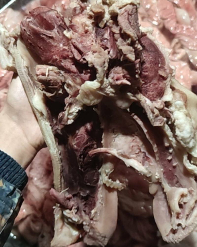 熟食鲜货可大批量供货大肠散肠护心肉耳朵猪头