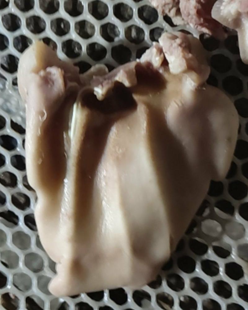 熟食鲜货可大批量供货大肠散肠护心肉耳朵猪头