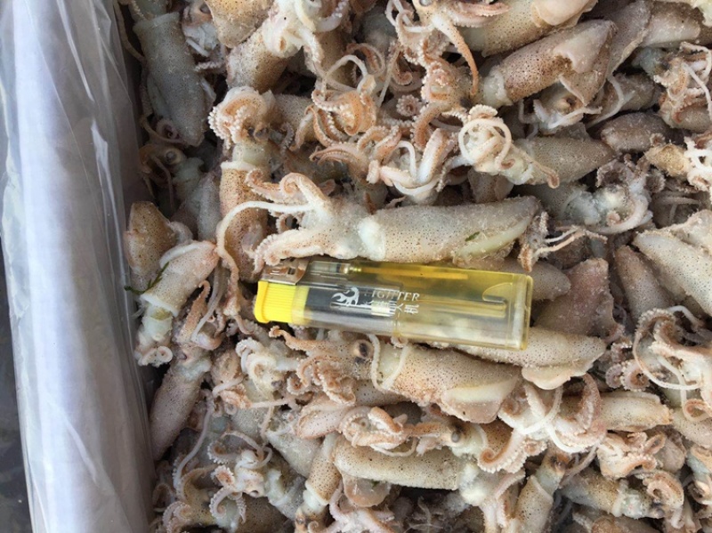 颗粒大海兔大籽乌熟的颗粒的淡干口感