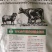 10%肉牛强化育肥复合预混料（不添加豆粕）