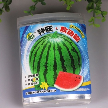 【欣动能】高产西瓜种子中早熟大果抗病瓤红甜口感好高糖皮