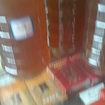 广东高山蜂蜜，放养的蜂蜜，春蜜，冬蜜，农家蜂蜜直销，批发零售