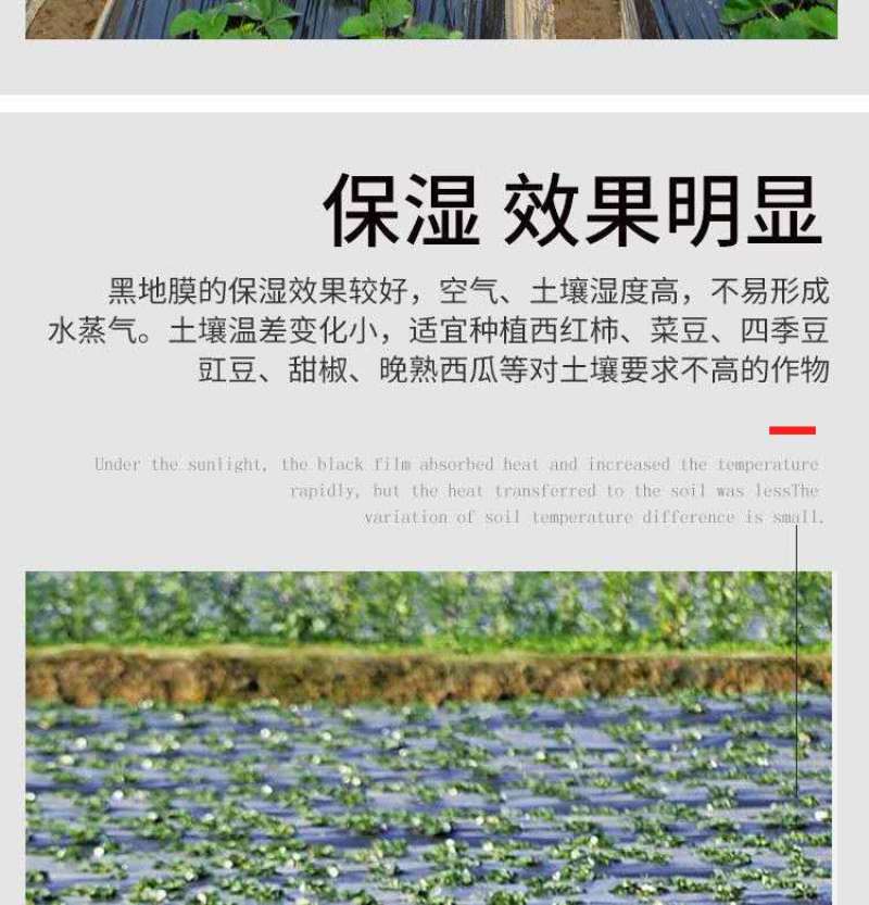 白色地膜黑色地膜银黑地膜银灰膜草莓膜玉米膜农用地膜包邮