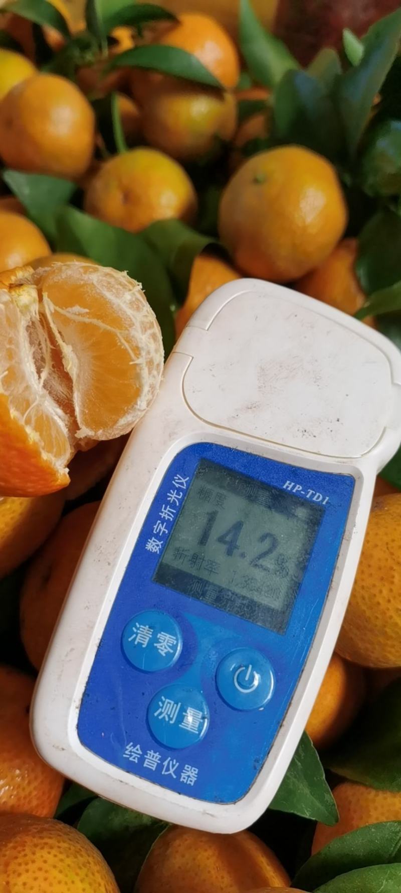 沃柑大量上市中，颜色口感都很好