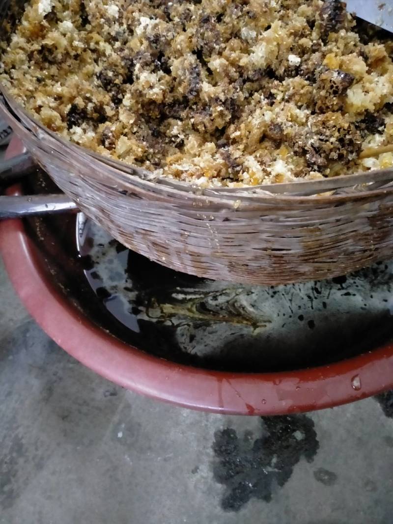 背出大山里土蜂蜜，是海拔2600米高山土蜜