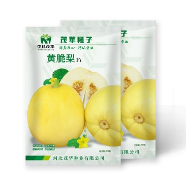 黄脆梨甜瓜种子，黄皮白肉，甜脆爽口，风味独特