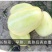 茂华甜妃甜瓜种子，含糖16～18，椭圆带绿黄润，适应广