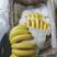 【批发】香蕉量大优惠全网接单视频看货产地直发