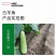 茂华白羊角甜瓜种子，纯白皮羊角脆，酥脆香甜多汁