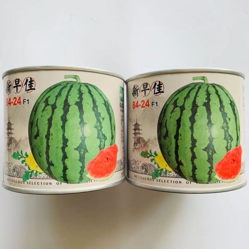 新早佳84-24西瓜种子皮薄汁多耐高温高湿