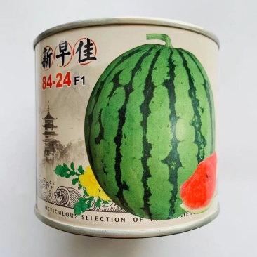 新早佳84-24西瓜种子皮薄汁多耐高温高湿