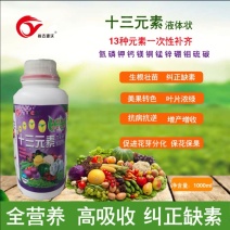 十三元素水溶肥叶面肥微量元素钙铁镁锌硼铜硅