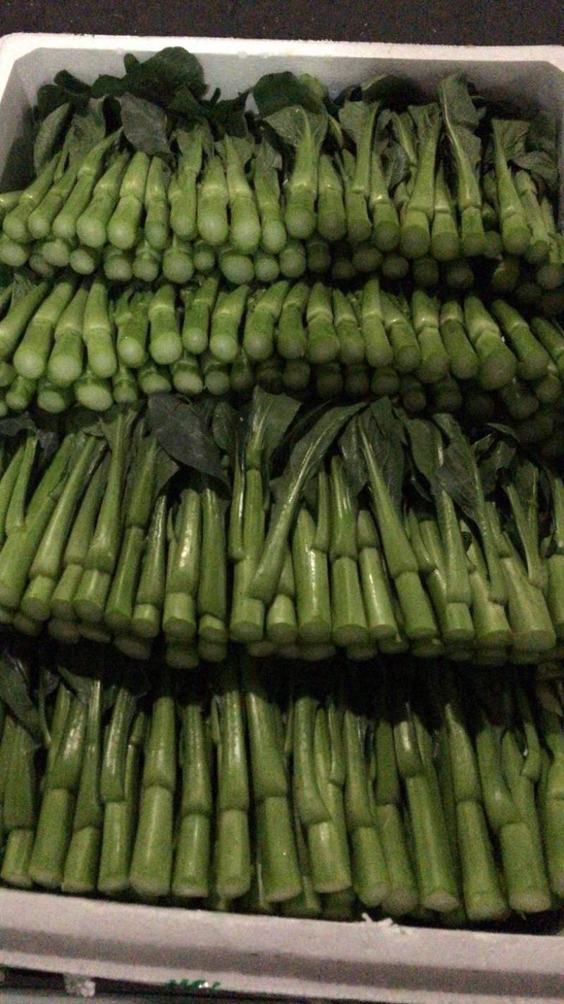 云南精品菜心量大从优