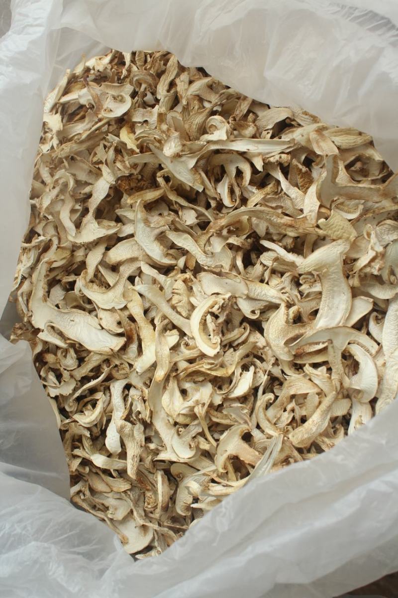 批发云南野生松茸干片野生菌食香格里拉松茸干货非人工