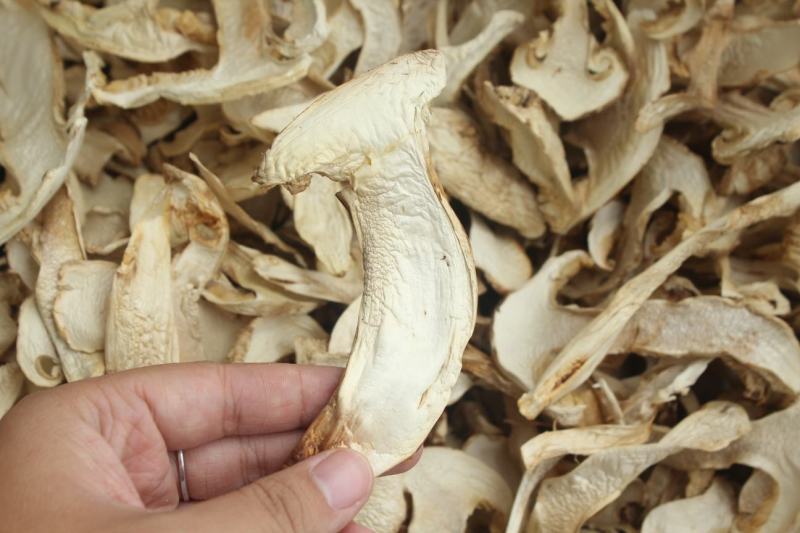 批发云南野生松茸干片野生菌食香格里拉松茸干货非人工