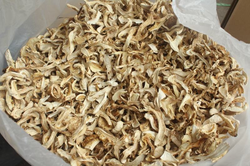 批发云南野生松茸干片野生菌食香格里拉松茸干货非人工