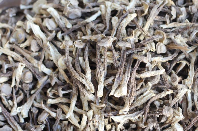 批发云南鹿茸菇野生菌食用菌干货鹿茸菌一件代发包邮