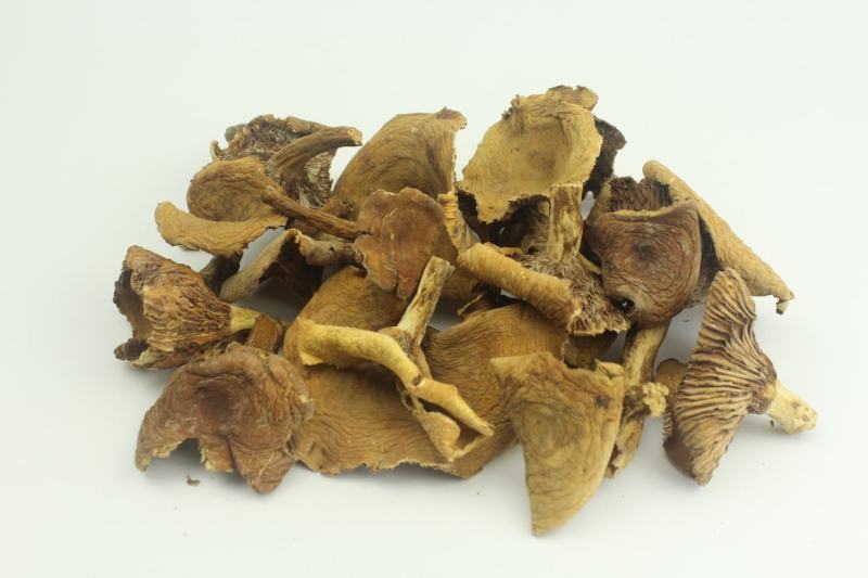 产地批发云南野生奶浆菌野生菌食用菌干货一件代包邮