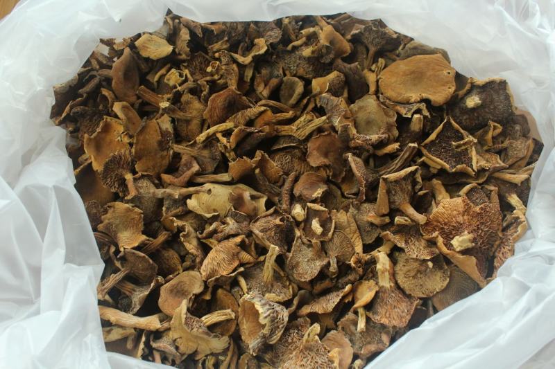 产地批发云南野生奶浆菌野生菌食用菌干货一件代包邮