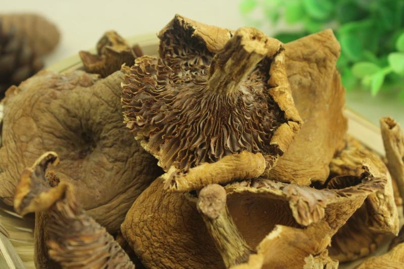 产地批发云南野生奶浆菌野生菌食用菌干货一件代包邮