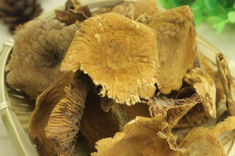 产地批发云南野生奶浆菌野生菌食用菌干货一件代包邮