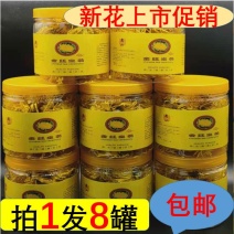 金丝皇菊低至3.2一罐一件清热去火