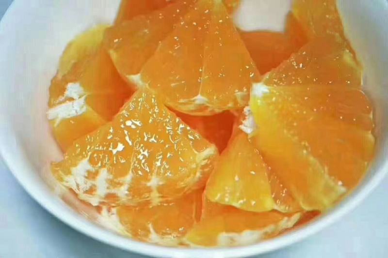 正宗象山“红美人”，不打蜡不泡药果园现摘直发
