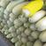 山东甜瓜苗博洋系绿宝羊角蜜品种正宗品质保证技术指导