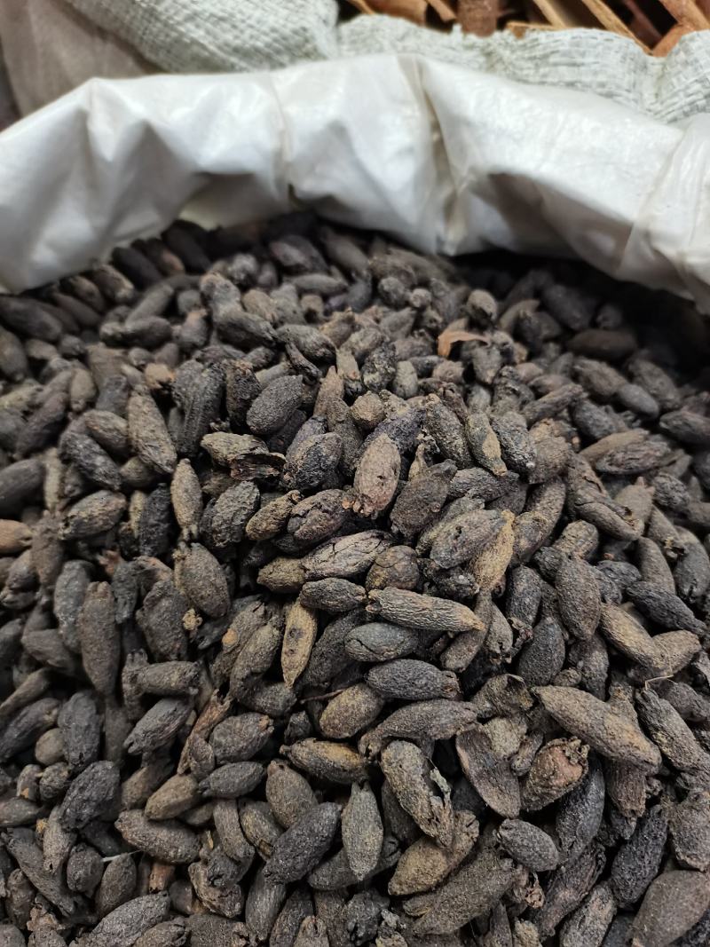 母丁香，全干无硫，大量上市，批零兼营，价格美丽