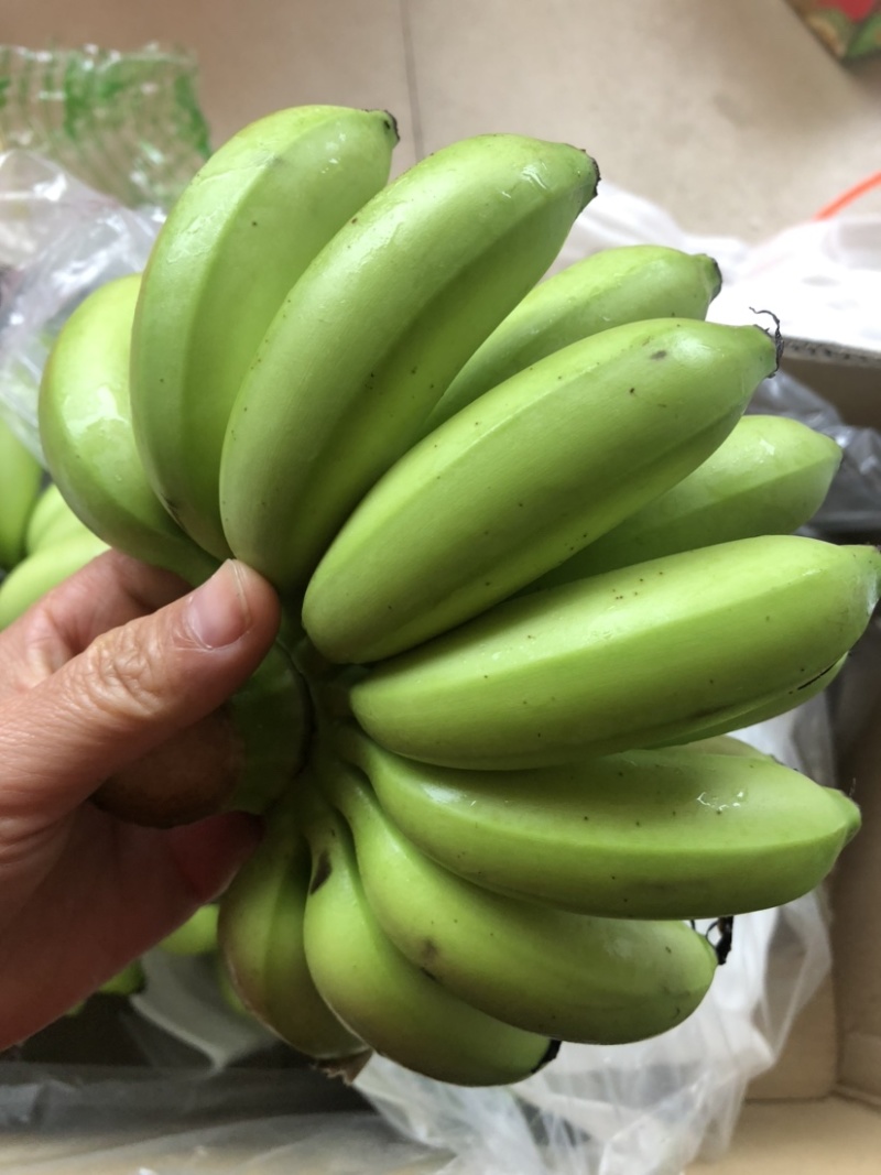 【聚划算】海南澄迈富硒皇帝蕉小米蕉支持一件代发批发