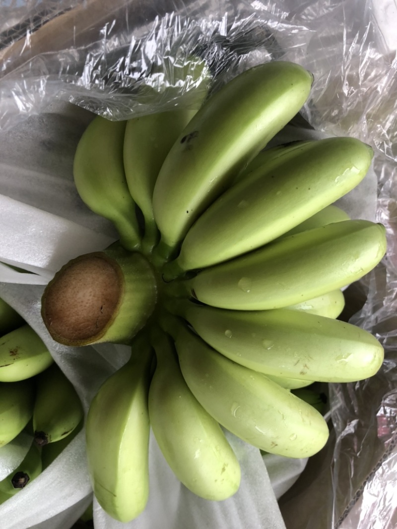 【聚划算】海南澄迈富硒皇帝蕉小米蕉支持一件代发批发