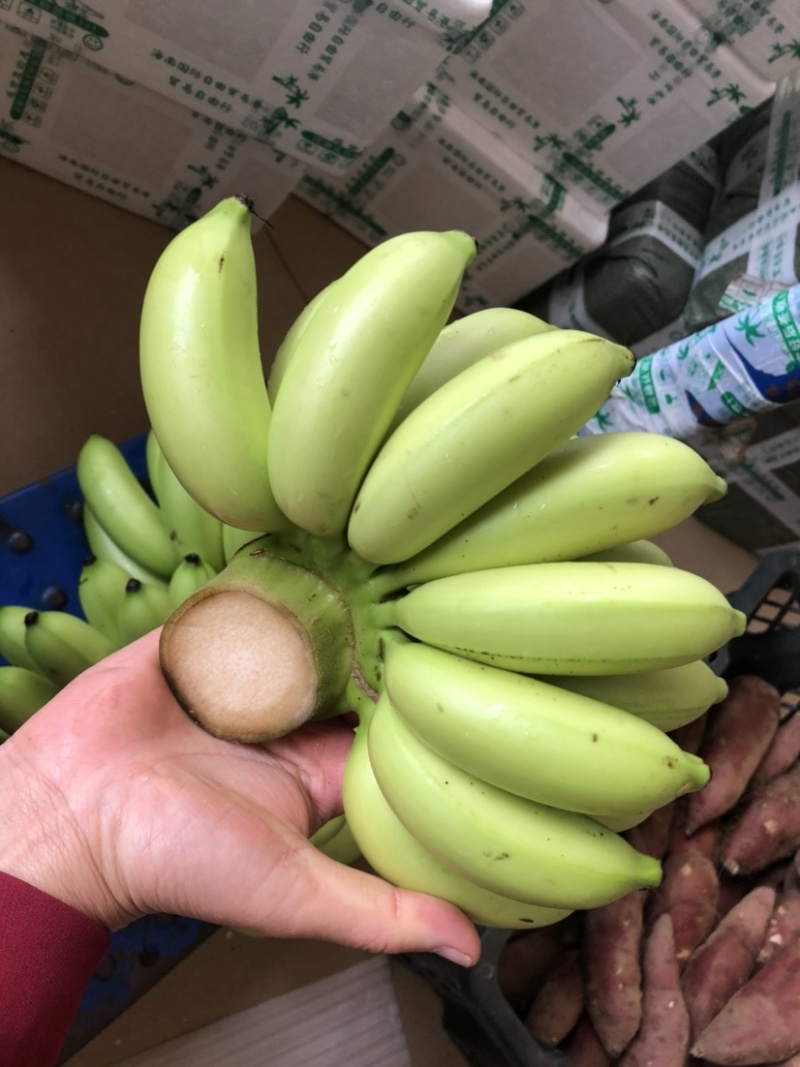 【聚划算】海南澄迈富硒皇帝蕉小米蕉支持一件代发批发