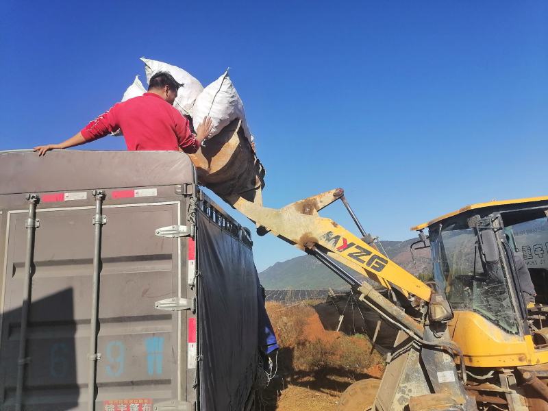 云南文山三七产地直挖货源充足支持一件代发欢迎来电咨询