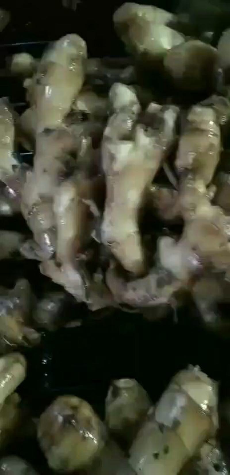 山东热销带土小黄姜量大从优，规格齐全，视频看货，