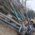 国槐基地，转业军人合作社