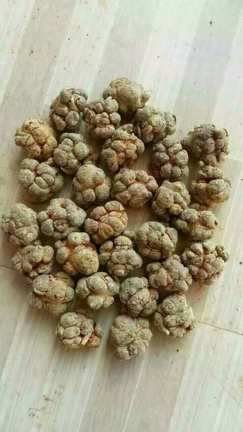 云南文山三七，七农直供货