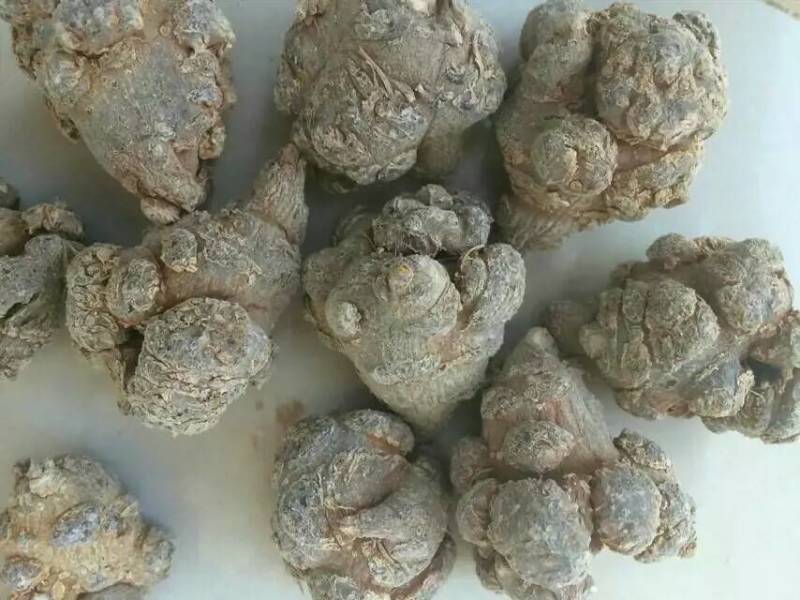 云南文山三七，七农直供货