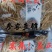 大货人参须，西洋参须包邮。不拼价格，拼质量。