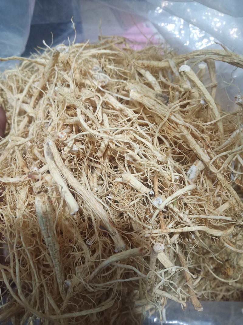 大货人参须，西洋参须包邮。不拼价格，拼质量。