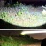 头灯超亮可充电野外特亮强光头戴灯矿灯进口感应夜钓鱼灯LE