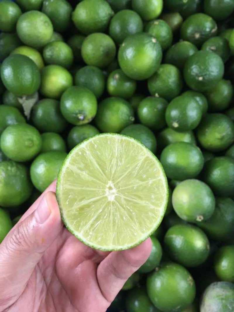 四季青柠檬，薄皮多汁