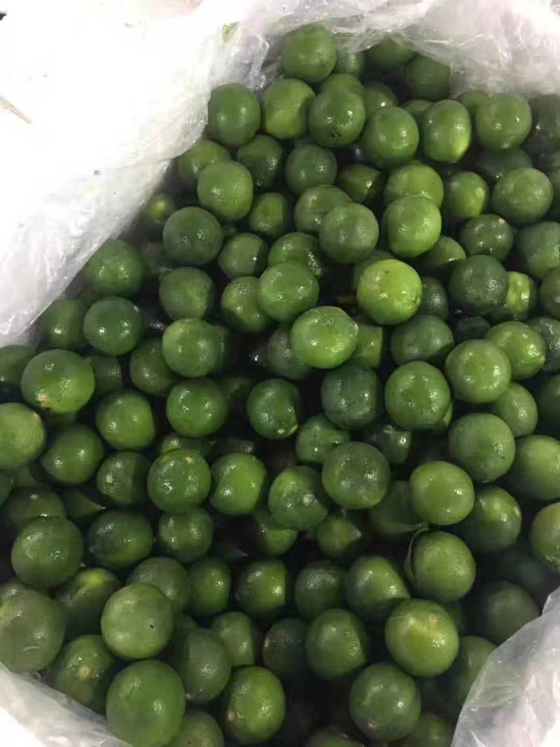 四季青柠檬，薄皮多汁