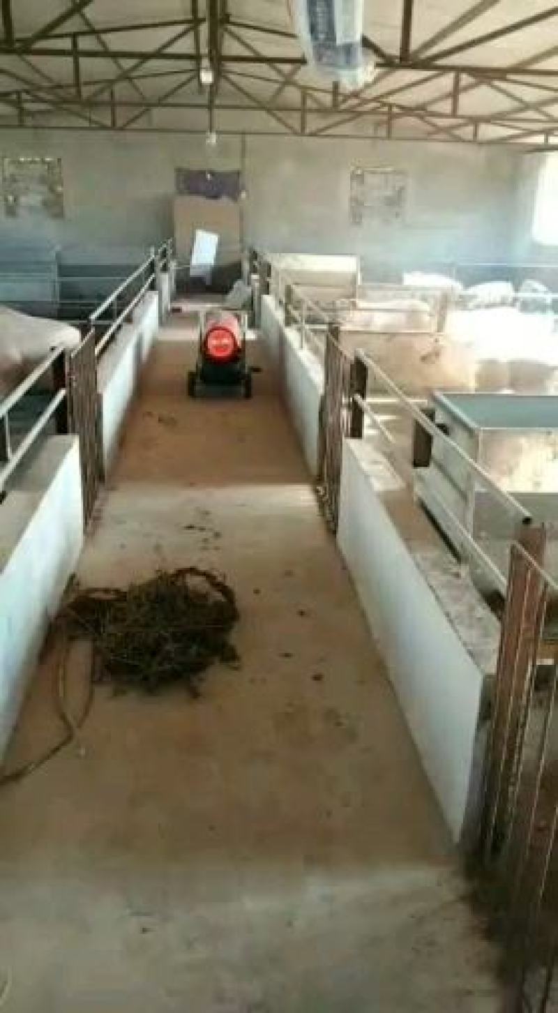 工业燃油热风机柴油功率大棚养殖取暖器工地杆期烘干热风