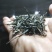 供应世界硒都恩施富硒茶绿茶恩施玉露茶叶特级绿茶礼盒装