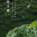 供应世界硒都恩施富硒茶绿茶恩施玉露茶叶特级绿茶礼盒装