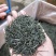 供应世界硒都恩施富硒茶绿茶恩施玉露茶叶特级绿茶礼盒装