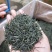 供应世界硒都恩施富硒茶绿茶恩施玉露茶叶特级绿茶礼盒装