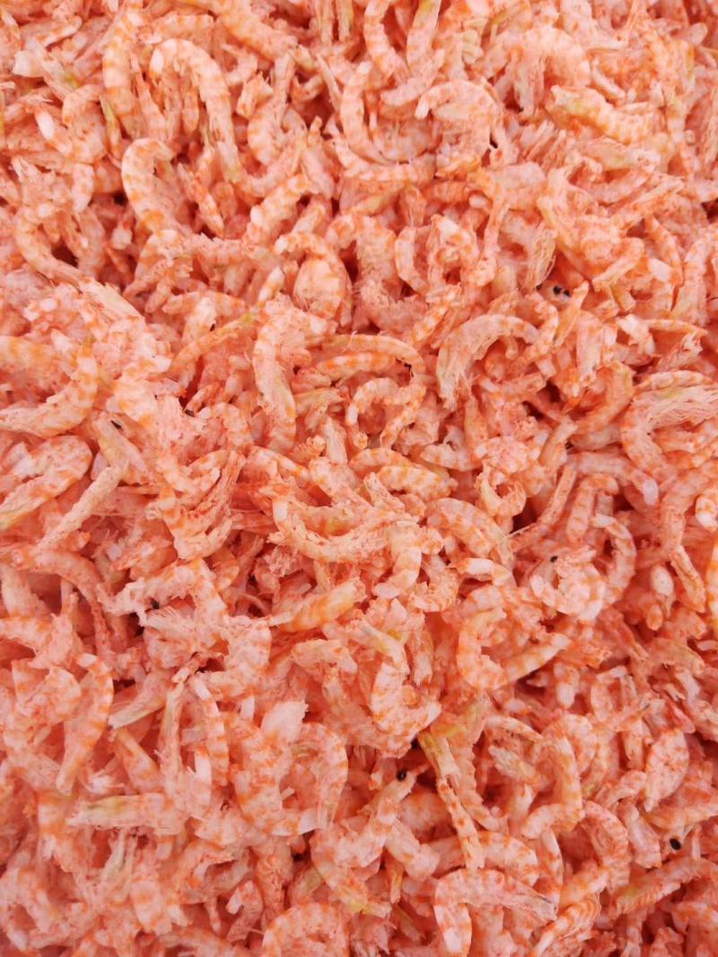 磷虾米，淡干无盐南极磷虾米，大量现货，量大从优