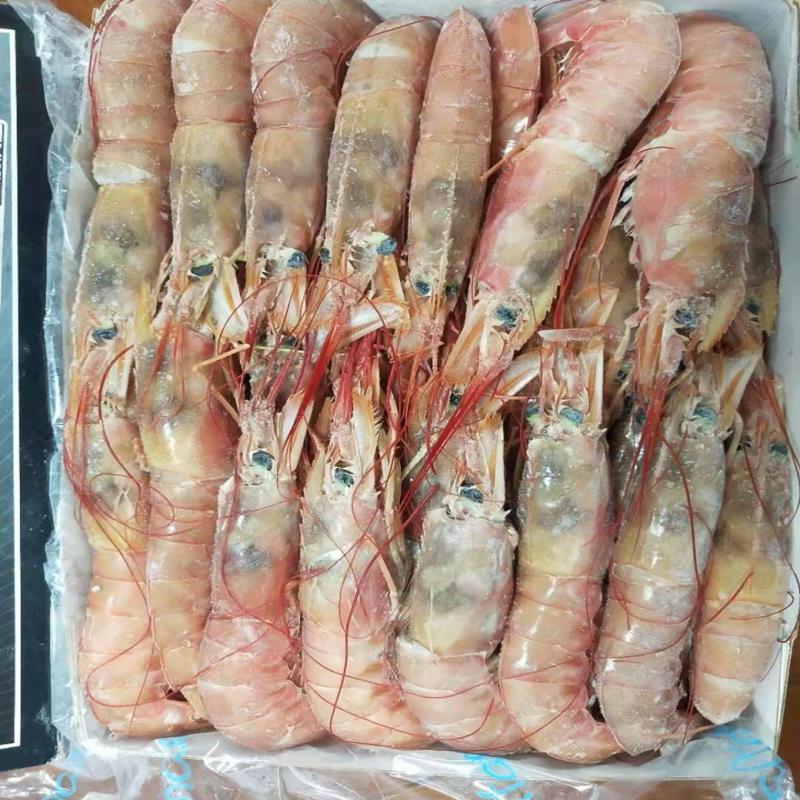 【优质好货】自捕阿根廷红虾，自助餐虾专用海鲜虾，证件齐全