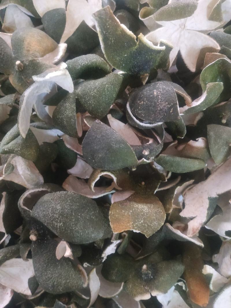 青皮～新青皮个～量大优惠～～欢迎咨询采购